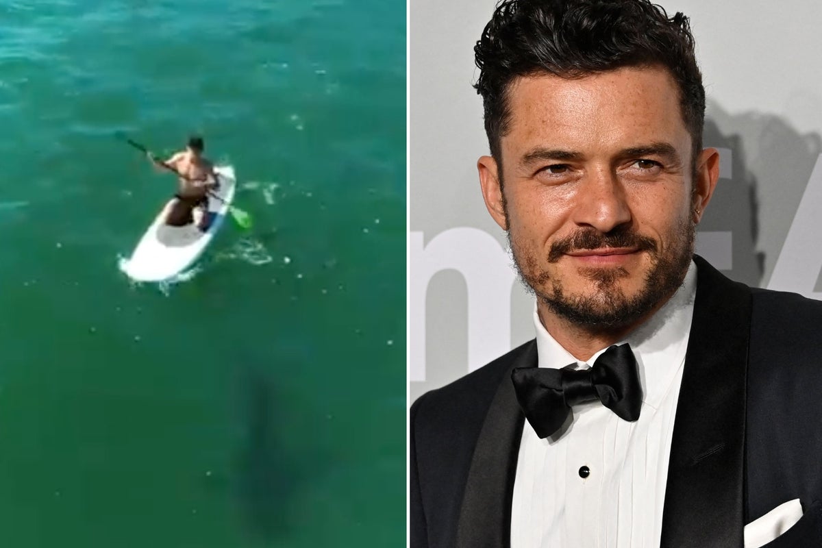 Orlando Bloom paddleboards next to great white shark in incredible